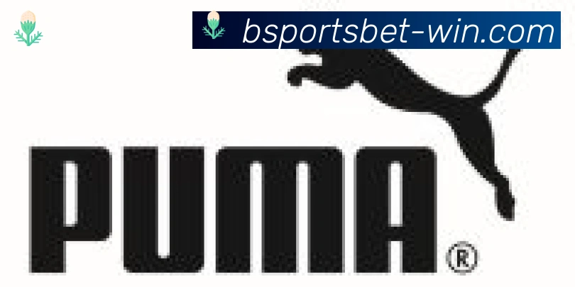 Bsports官网合作伙伴